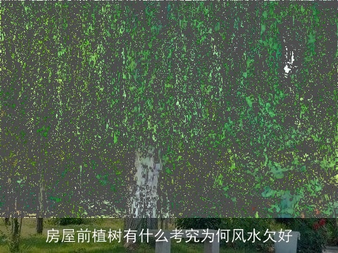 房屋前植树有什么考究为何风水欠好