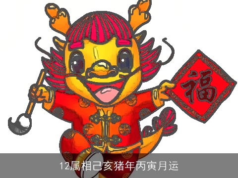 12属相己亥猪年丙寅月运