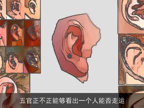 五官正不正能够看出一个人能否走运