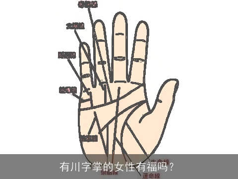 有川字掌的女性有福吗？