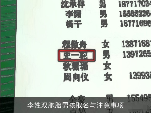 李姓双胞胎男孩取名与注意事项