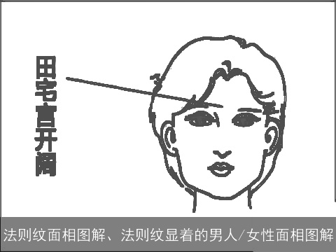 法则纹面相图解、法则纹显着的男人/女性面相图解