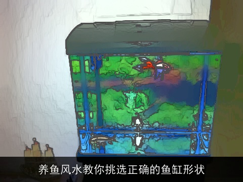 养鱼风水教你挑选正确的鱼缸形状