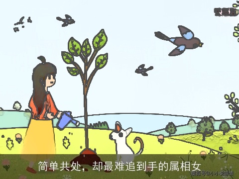 简单共处，却最难追到手的属相女