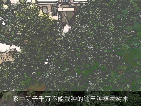 家中院子千万不能栽种的这三种植物树木