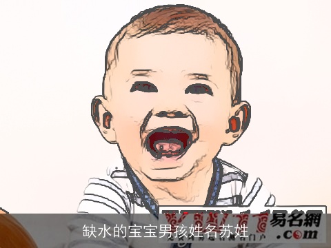 缺水的宝宝男孩姓名苏姓