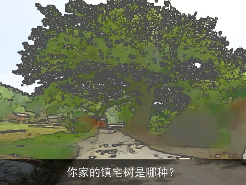 你家的镇宅树是哪种？