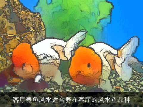 客厅养鱼风水适合养在客厅的风水鱼品种