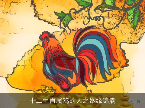 十二生肖属鸡的人之姻缘锦囊