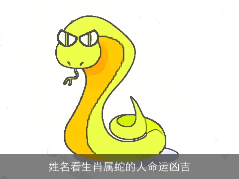 姓名看生肖属蛇的人命运凶吉