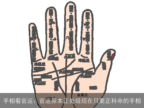 手相看官运：官运原本正处级现在只要正科命的手相