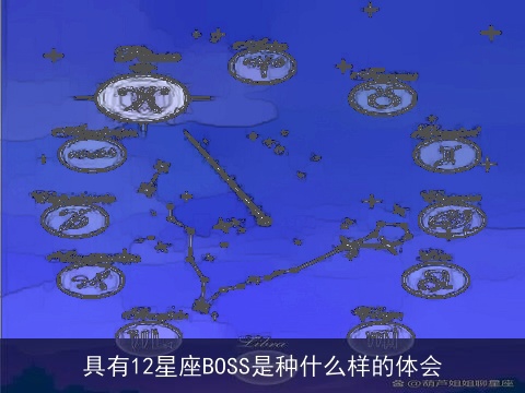 具有12星座BOSS是种什么样的体会