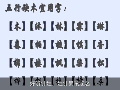 好听针姓，姓针男孩起名