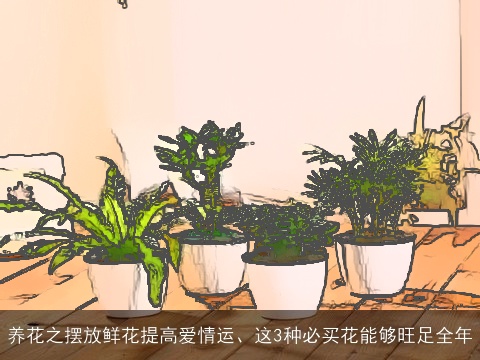 养花之摆放鲜花提高爱情运、这3种必买花能够旺足全年