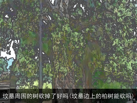 坟墓周围的树砍掉了好吗(坟墓边上的柏树能砍吗)