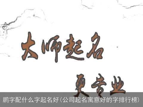 鹏字配什么字起名好(公司起名寓意好的字排行榜)