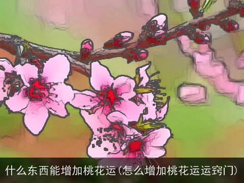 什么东西能增加桃花运(怎么增加桃花运运窍门)