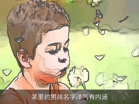 某里约男孩名字洋气有内涵