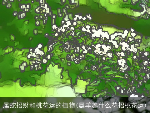 属蛇招财和桃花运的植物(属羊养什么花招桃花运)