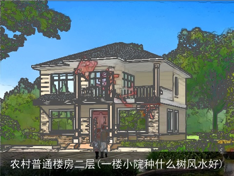 农村普通楼房二层(一楼小院种什么树风水好)