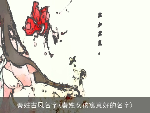 秦姓古风名字(秦姓女孩寓意好的名字)