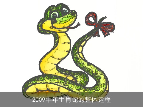2009牛年生肖蛇的整体运程