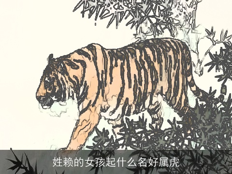 姓赖的女孩起什么名好属虎