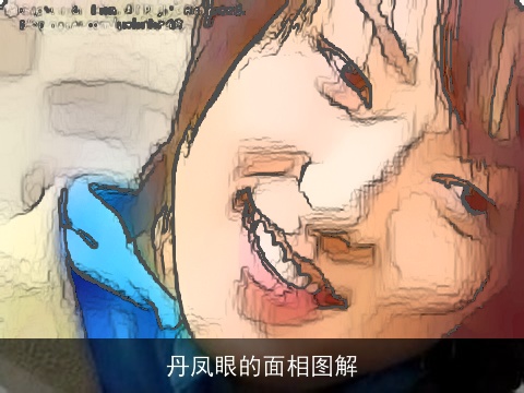 丹凤眼的面相图解