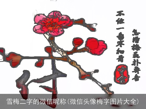雪梅二字的微信昵称(微信头像梅字图片大全)