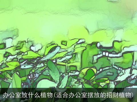 办公室放什么植物(适合办公室摆放的招财植物)