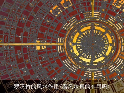 罗汉竹的风水作用(看风水真的有用吗)