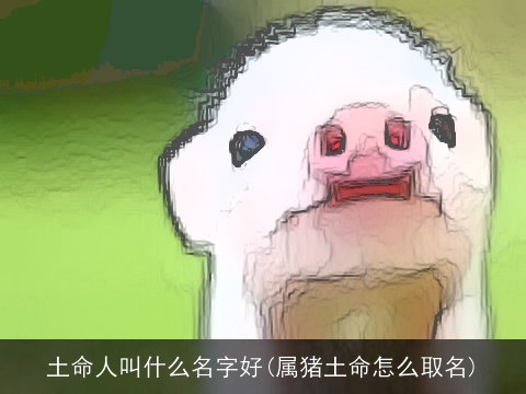 土命人叫什么名字好(属猪土命怎么取名)