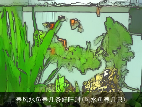 养风水鱼养几条好旺财(风水鱼养几只)