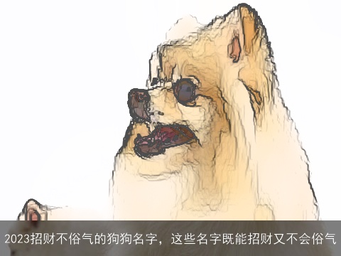 2023招财不俗气的狗狗名字，这些名字既能招财又不会俗气