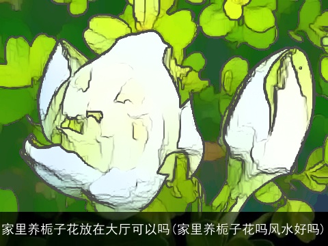 家里养栀子花放在大厅可以吗(家里养栀子花吗风水好吗)