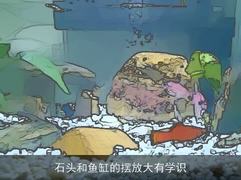 石头和鱼缸的摆放大有学识