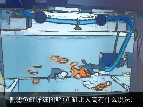 侧滤鱼缸详细图解(鱼缸比人高有什么说法)