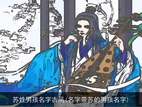 苏姓男孩名字古风(名字带苏的男孩名字)