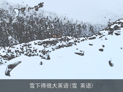 雪下得很大英语(雪 英语)