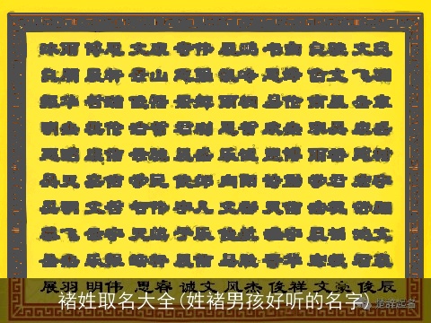 褚姓取名大全(姓褚男孩好听的名字)