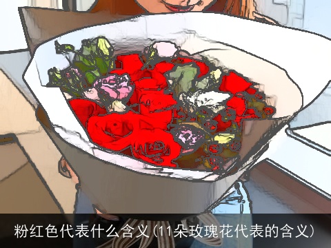 粉红色代表什么含义(11朵玫瑰花代表的含义)