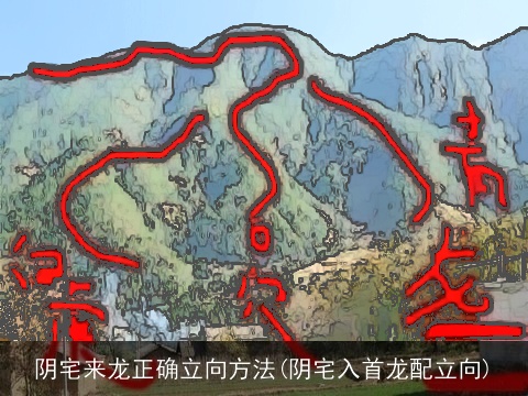 阴宅来龙正确立向方法(阴宅入首龙配立向)