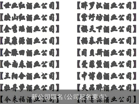 新公司取名(公司起名要点)