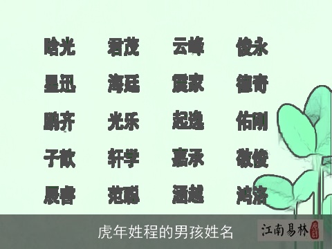 虎年姓程的男孩姓名