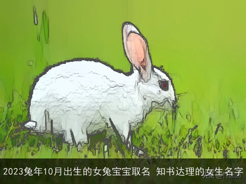 2023兔年10月出生的女兔宝宝取名 知书达理的女生名字