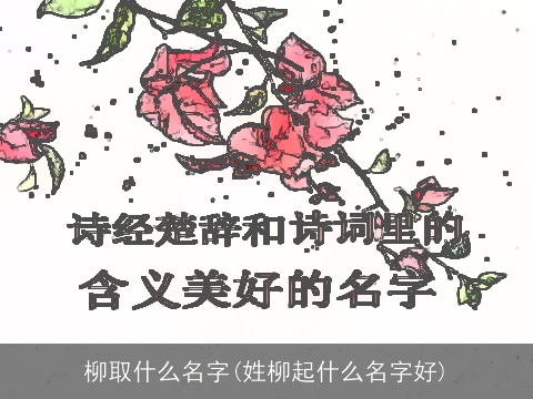柳取什么名字(姓柳起什么名字好)