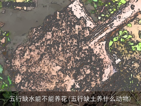 五行缺水能不能养花(五行缺土养什么动物)