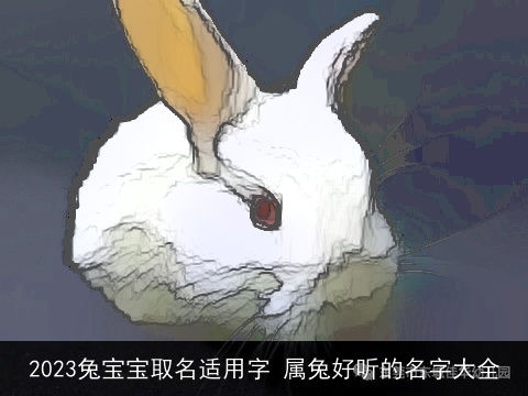2023兔宝宝取名适用字 属兔好听的名字大全