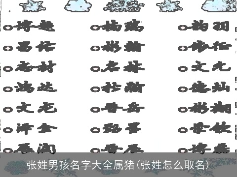 张姓男孩名字大全属猪(张姓怎么取名)