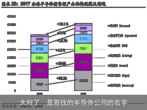 太好了  是筹钱的半导体公司的名字